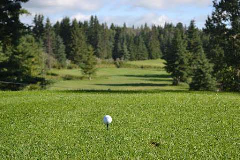 Pipestone Links Golf Course and RV Park near Millet, AB